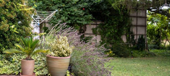 3 chambres Maison à Nickelsdorf, Austria No. 190275 15