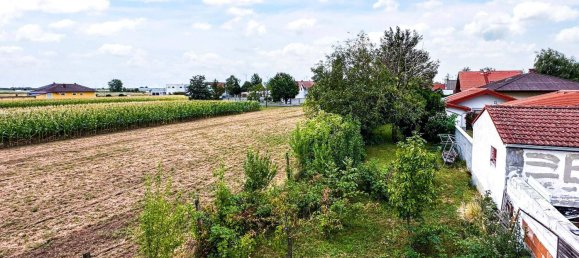 3 chambres Maison à Nickelsdorf, Austria No. 190275 19