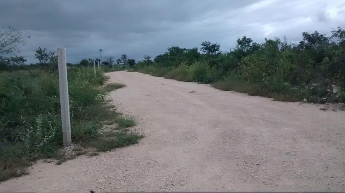 Terrain à Merida, Mexico No. 106232