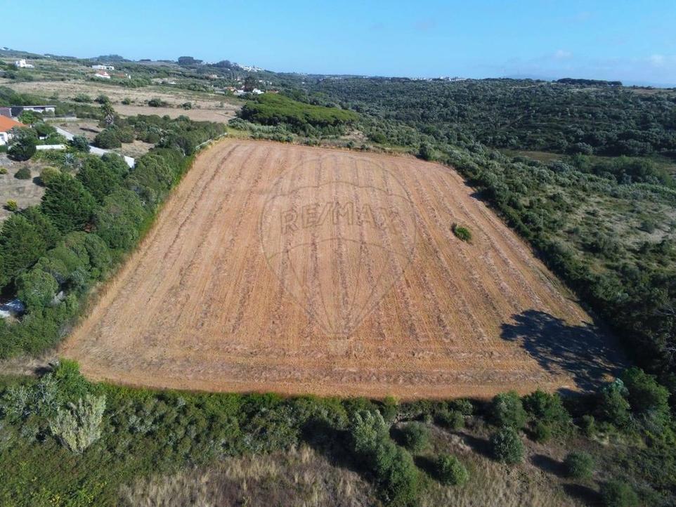 Terreno em Sintra, Portugal N.º 250078