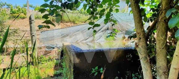 3 غرف نوم منزل في Cabeceiras de Basto, Portugal رقم 27306 37