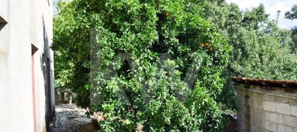 3 غرف نوم منزل في Cabeceiras de Basto, Portugal رقم 27306 8