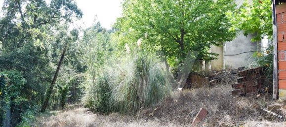 3 غرف نوم منزل في Cabeceiras de Basto, Portugal رقم 27306 14