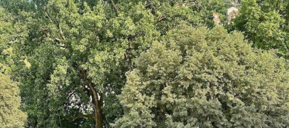 Apartamento de 5 divisões em Turin, Italy N.º 214457 33