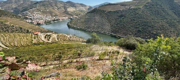 9 bedrooms House in Sabrosa, Portugal No. 189247 5