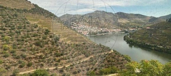 9 bedrooms House in Sabrosa, Portugal No. 189247 9