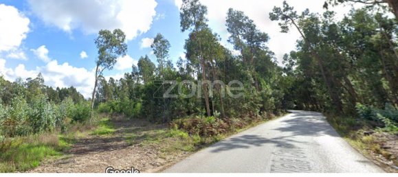 20000m² Land in Cacia, Portugal No. 73959 16