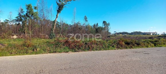 20000m² Land in Cacia, Portugal No. 73959 3