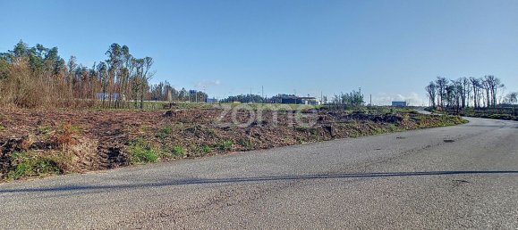 20000m² Land in Cacia, Portugal No. 73959 5