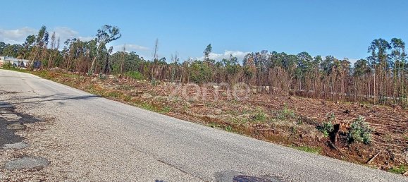 20000m² Land in Cacia, Portugal No. 73959 9