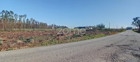 20000m² Land in Cacia, Portugal No. 73959 12