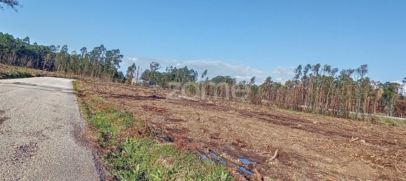 20000m² Land in Cacia, Portugal No. 73959 14