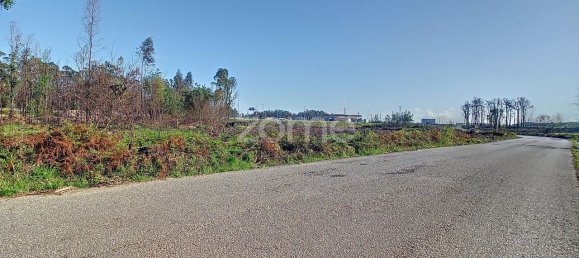 20000m² Land in Cacia, Portugal No. 73959 4