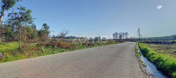 20000m² Land in Cacia, Portugal No. 73959 6