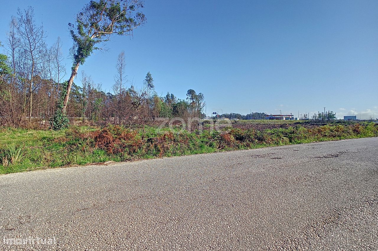 20000m² Land in Cacia, Portugal No. 73959