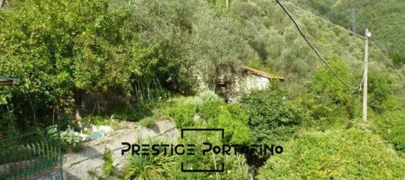 Studio in Rapallo, Italy, Nr. 38439 28