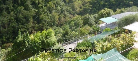 Studio in Rapallo, Italy, Nr. 38439 34