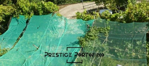 Studio in Rapallo, Italy, Nr. 38439 32