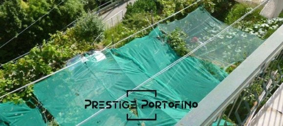 Studio in Rapallo, Italy, Nr. 38439 29
