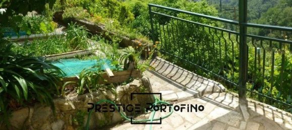 Studio in Rapallo, Italy, Nr. 38439 3