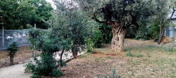 180m² Commercial property in Pikermi, Greece No. 7741 6