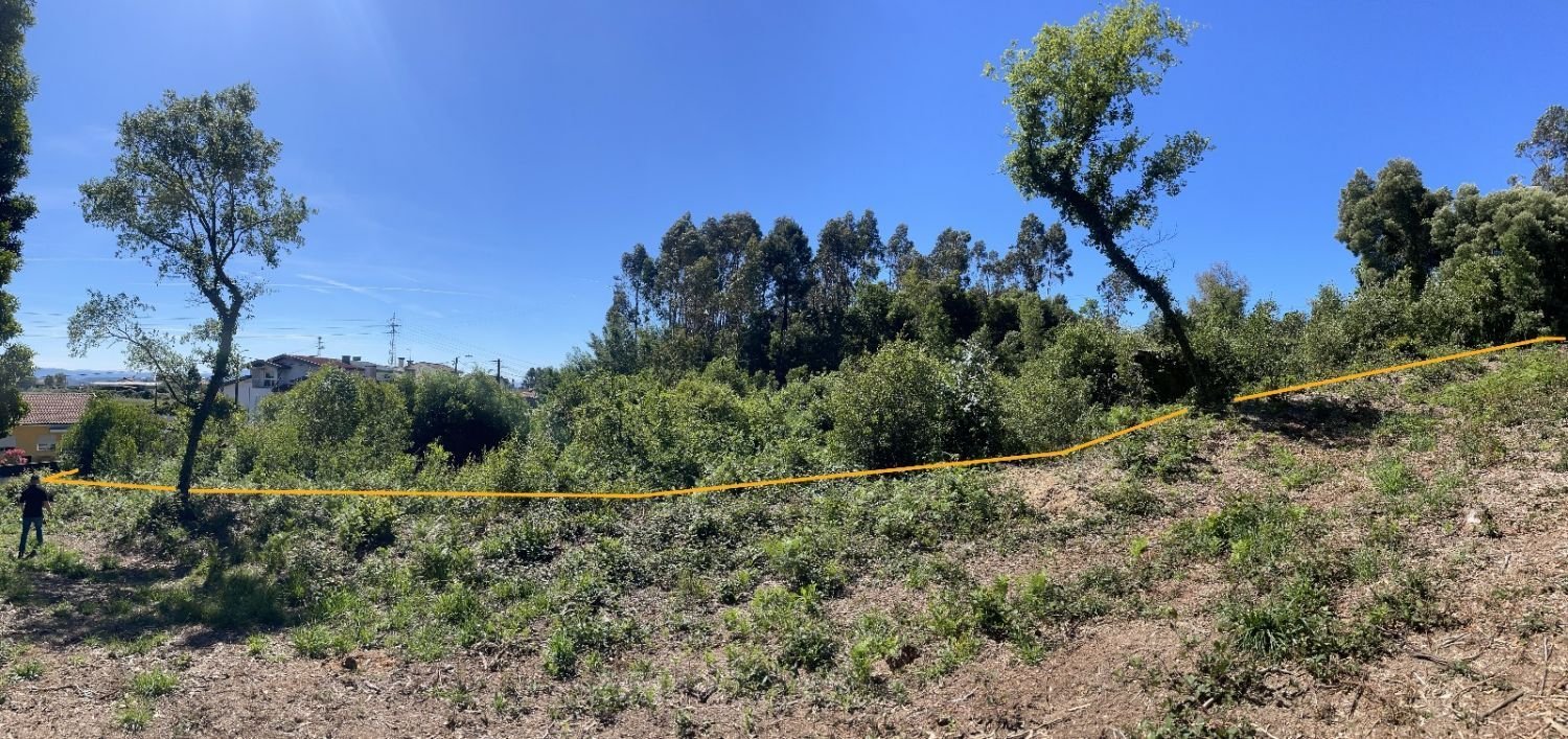 Terrain à Argoncilhe, Portugal No. 78864