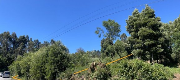 Terrain à Argoncilhe, Portugal No. 78864 4