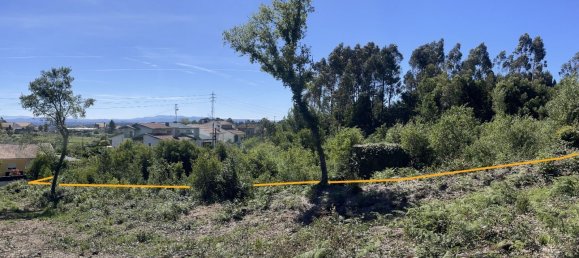 Terrain à Argoncilhe, Portugal No. 78864 3