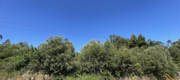 Terrain à Argoncilhe, Portugal No. 78864 2