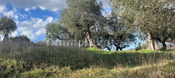 4 chambres Maison à Pesaro, Italy No. 224230 17