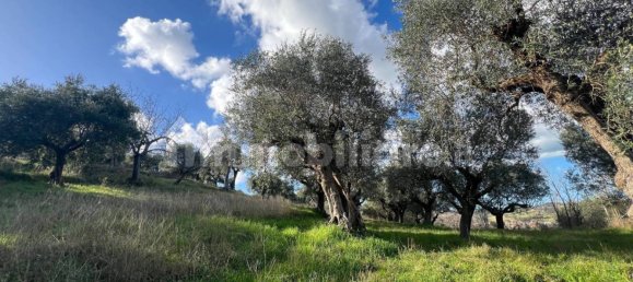 4 chambres Maison à Pesaro, Italy No. 224230 19