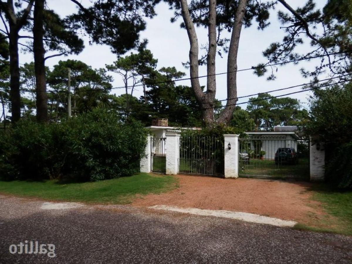 5 Schlafzimmer Haus in Maldonado, Uruguay, Nr. 1201
