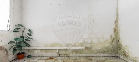  عقار تجاري في Celorico de Basto, Portugal 345متر مربع رقم 190076 13