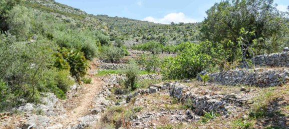 Grundstück in Jalon, Spain 499685m², Nr. 152782 5