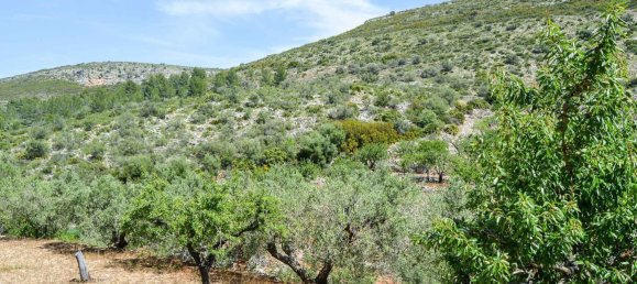 Grundstück in Jalon, Spain 499685m², Nr. 152782 16