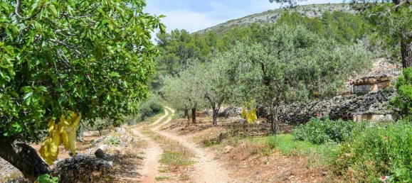 Grundstück in Jalon, Spain 499685m², Nr. 152782 2