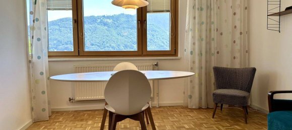 Studio in Gmunden, Austria No. 230035 3