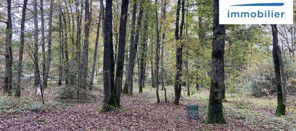 Terreno em La Selle-sur-le-Bied, France N.º 159301 2