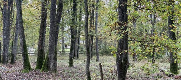 Terreno em La Selle-sur-le-Bied, France N.º 159301 5