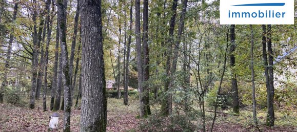 Terreno em La Selle-sur-le-Bied, France N.º 159301 7