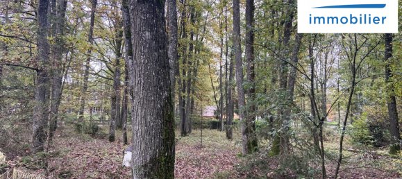 Terreno em La Selle-sur-le-Bied, France N.º 159301 4