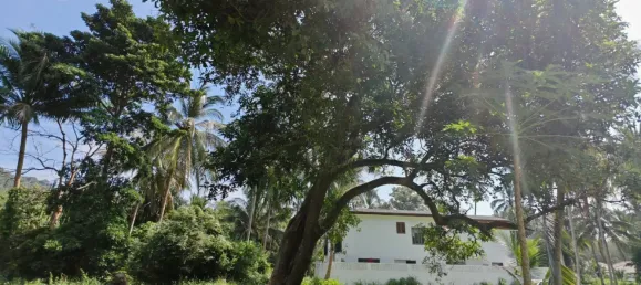 Земельный участок 6400м² в Самуй, Таиланд № 75797 3