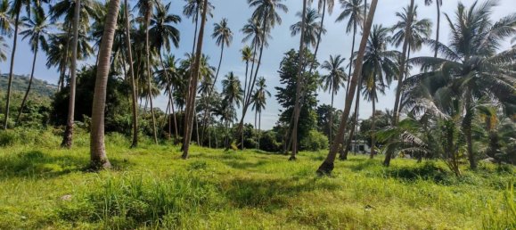 Земельный участок 6400м² в Самуй, Таиланд № 75797 8