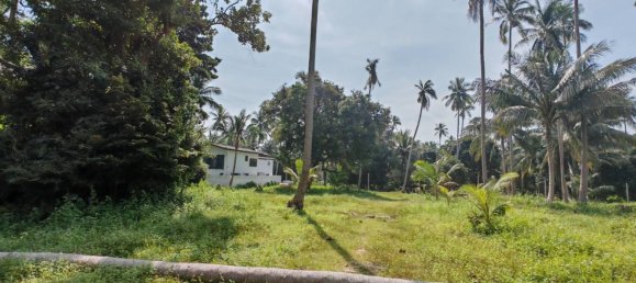 Земельный участок 6400м² в Самуй, Таиланд № 75797 5