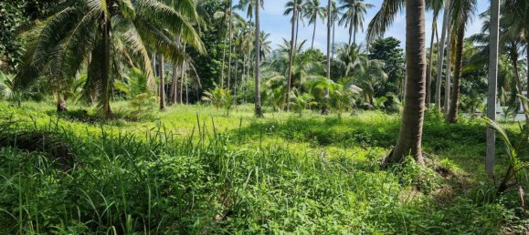 Земельный участок 6400м² в Самуй, Таиланд № 75797 12