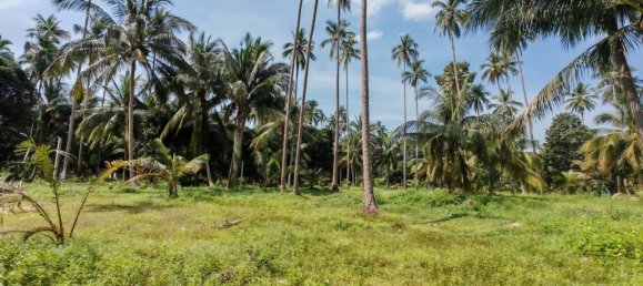 Земельный участок 6400м² в Самуй, Таиланд № 75797 4