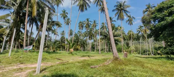 Земельный участок 6400м² в Самуй, Таиланд № 75797 2