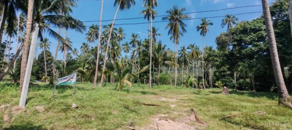 Земельный участок 6400м² в Самуй, Таиланд № 75797 14