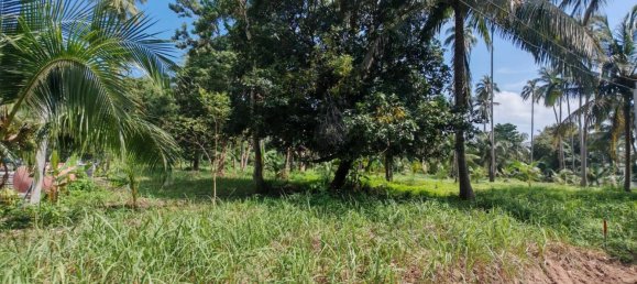 Земельный участок 6400м² в Самуй, Таиланд № 75797 13