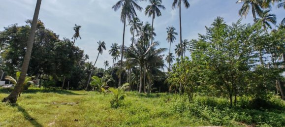 Земельный участок 6400м² в Самуй, Таиланд № 75797 6